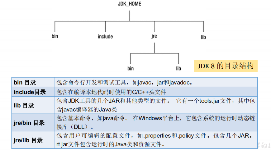 bin 
JDK_HOME 
include 
bin 
jre 
lib 
」 DK8 的 目 录 结 构 
bin 目 录 
include 目 录 
lib 目 录 
jre/bin 目 录 
jre/lib 目 录 
包 含 命 令 行 开 发 和 调 试 工 具 ， 如 •avac ， jar 和 javadoco 
包 含 在 编 译 本 地 代 码 时 使 用 的 C / C + + 头 文 件 
包 含 JDK 工 具 的 几 个 JAR 和 其 他 类 型 的 文 件 。 它 有 一 个 to 。 《 s ． jar 文 件 ， 其 中 包 
含 ． 编 译 器 的 Java 类 
JavaC 
包 含 基 本 命 令 ， 如 java 命 令 。 在 Windows 平 台 上 ， 它 包 含 系 统 的 运 行 时 动 态 链 
接 库 (DLL) 。 
包 含 用 户 可 编 辑 的 配 置 文 件 ， 如 .properties 和 .policy 文 件 。 包 含 几 个 JAR 。 
jar 文 件 包 含 运 行 时 的 Java 类 和 资 源 文 件 。 